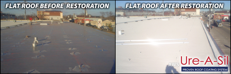 Renewable Flat Roof Coatings